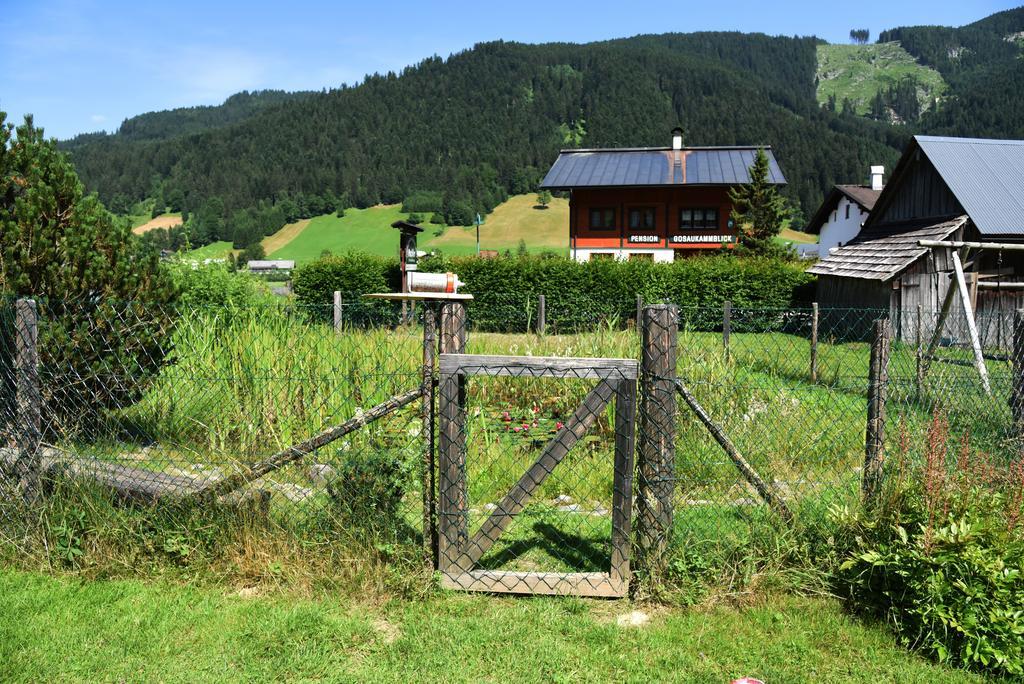 Fruehstueckspension Pachler Gosau Dış mekan fotoğraf