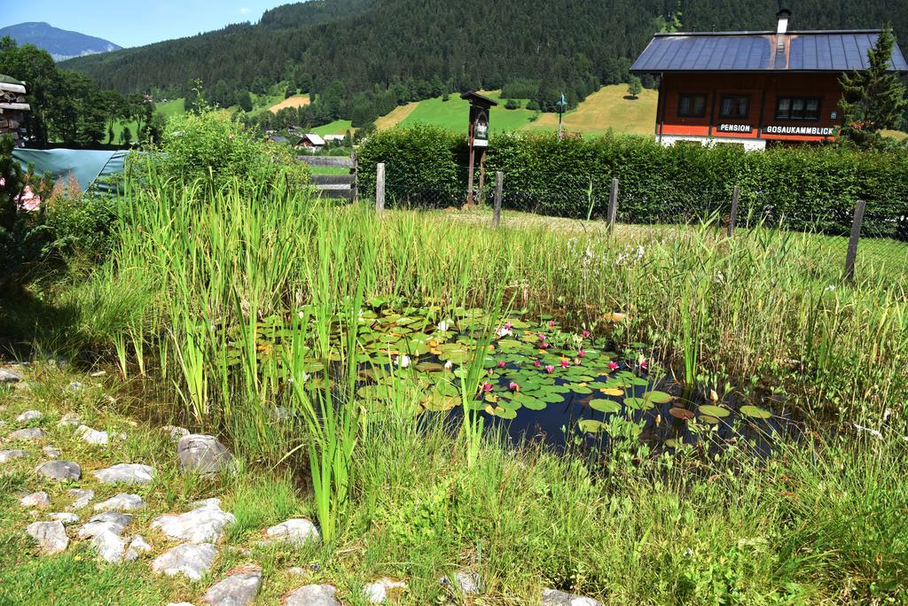 Fruehstueckspension Pachler Gosau Dış mekan fotoğraf
