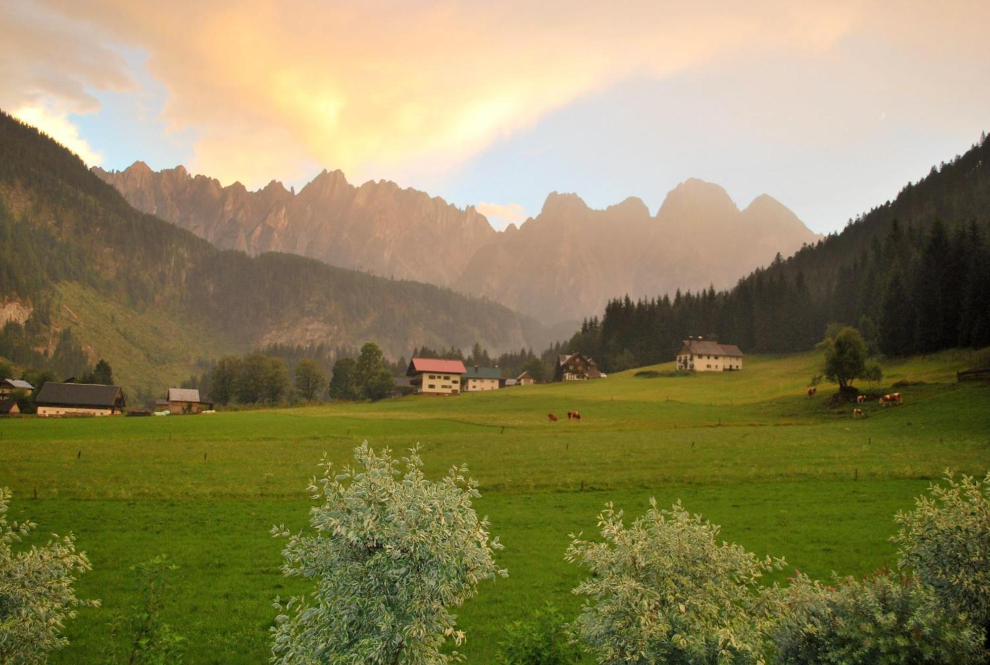 Fruehstueckspension Pachler Gosau Oda fotoğraf