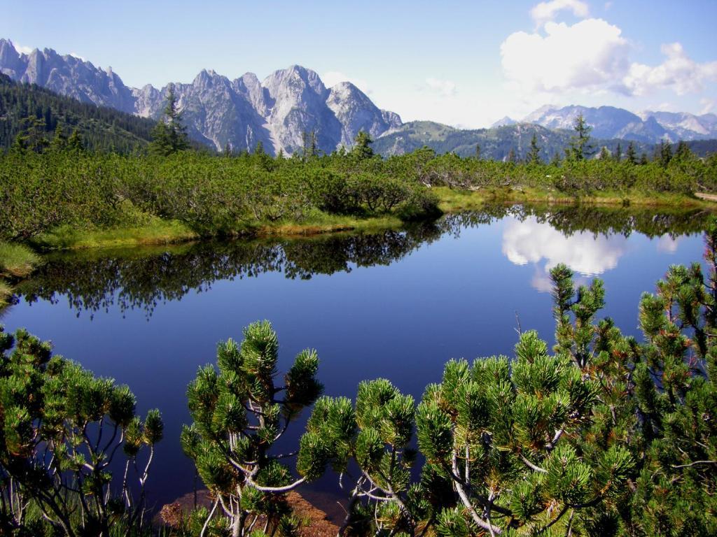 Fruehstueckspension Pachler Gosau Dış mekan fotoğraf