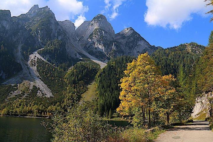 Fruehstueckspension Pachler Gosau Dış mekan fotoğraf